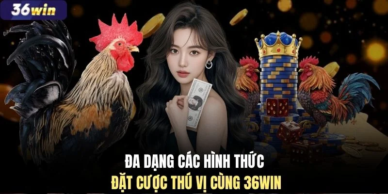 Đa dạng các hình thức đặt cược thú vị cùng 36WIN