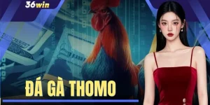 Đá Gà Thomo