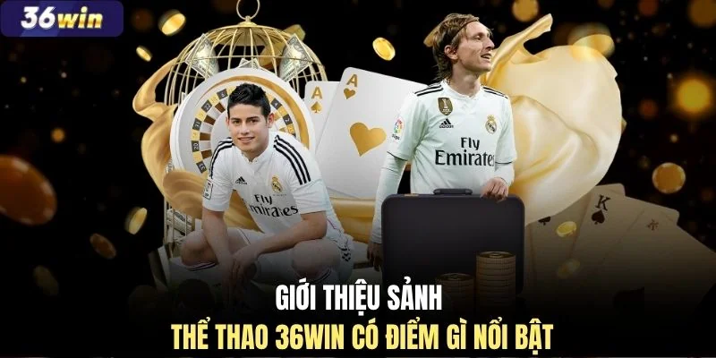 Giới thiệu sảnh thể thao 36WIN có điểm gì nổi bật