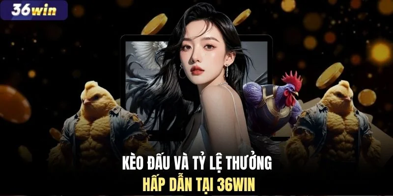 Kèo đấu và tỷ lệ thưởng hấp dẫn tại 36WIN