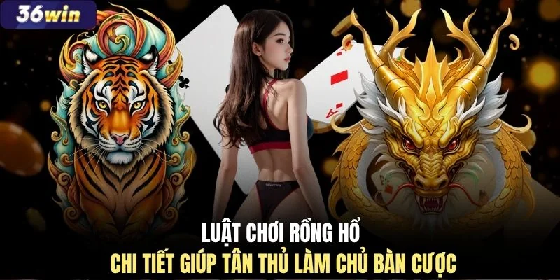 Luật chơi Rồng Hổ chi tiết giúp tân thủ làm chủ bàn cược
