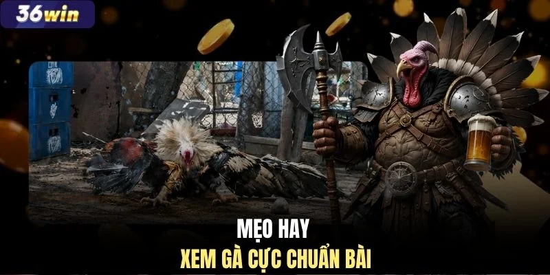 Mẹo hay xem gà cực chuẩn bài