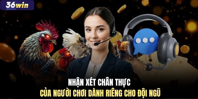 Nhận xét chân thực của người chơi dành riêng cho đội ngũ