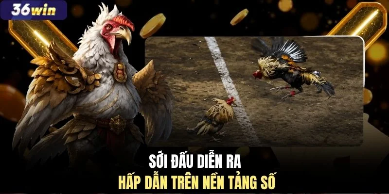 Sới đấu diễn ra hấp dẫn trên nền tảng số